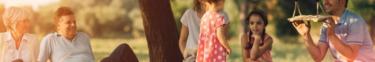 Foulsham & Geddes Banner