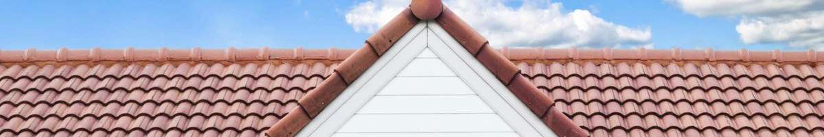 SaltBush Roofing Banner