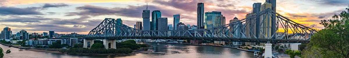 Bees Nees City Realty Banner