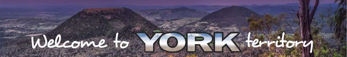 York Realty Banner