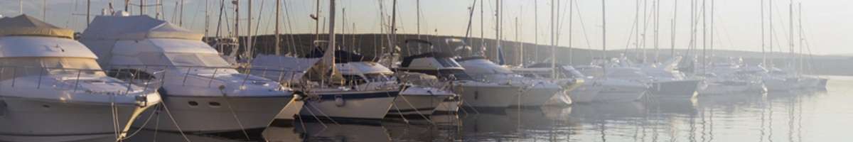 Trident Insurance Group Banner