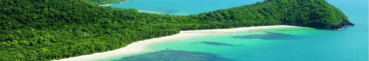 Daintree Discovery Tours Banner