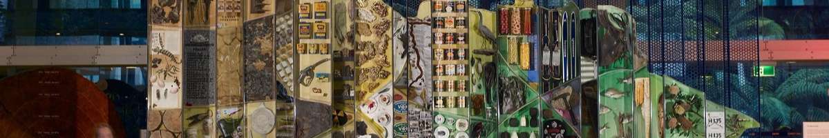 Melbourne Museum Banner