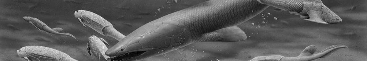 Age of Fishes Museum Banner