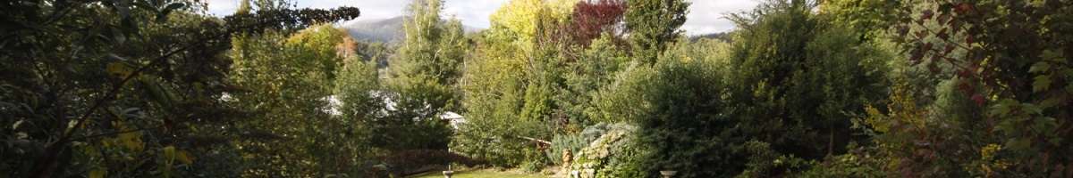 Dalrymples Guest Cottages Banner
