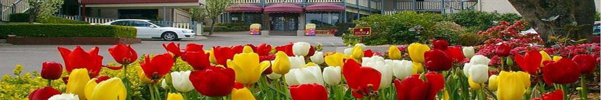 Waldorf Leura Gardens Resort Banner