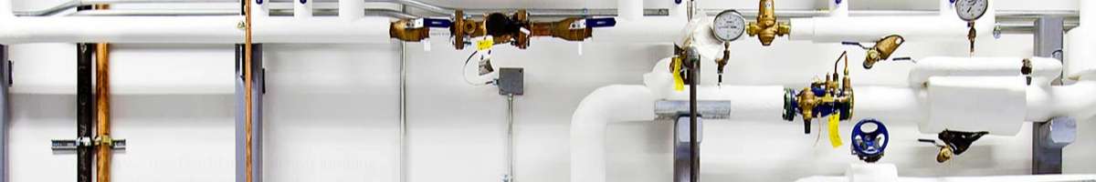 Goanna Plumbing Banner