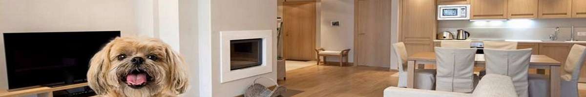 Advantage Air Banner