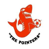 Nichols Point Soccer Club Logo