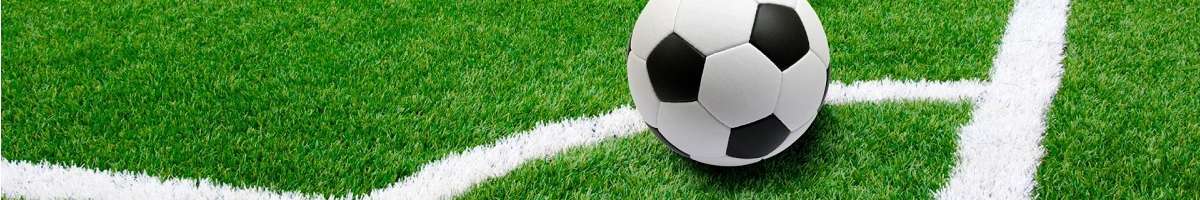 Nichols Point Soccer Club Banner