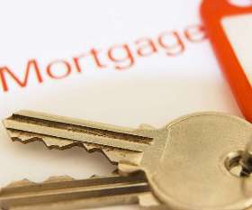 Money Tree Financial Solutions