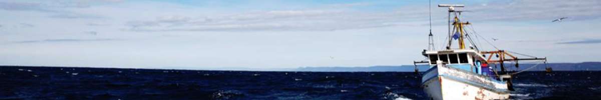 Sydney Fish Market Banner
