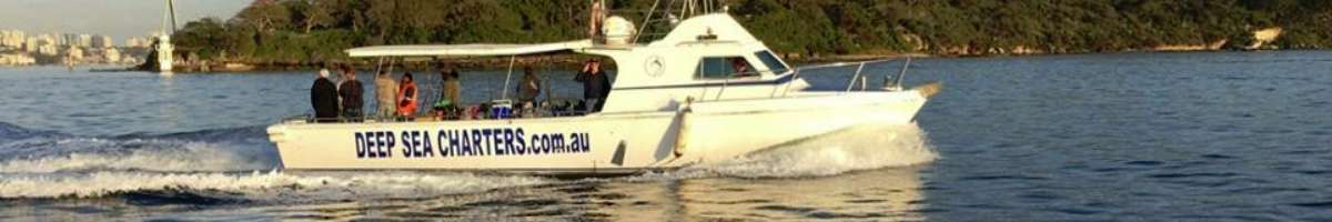 Deep Sea Fishing Charters Banner