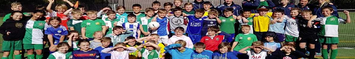 Manly Warringah Football Association Banner