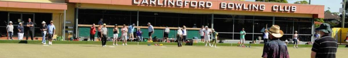 Carlingford Bowling Club Banner