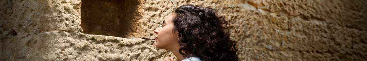 The Rocks Discovery Museum Banner