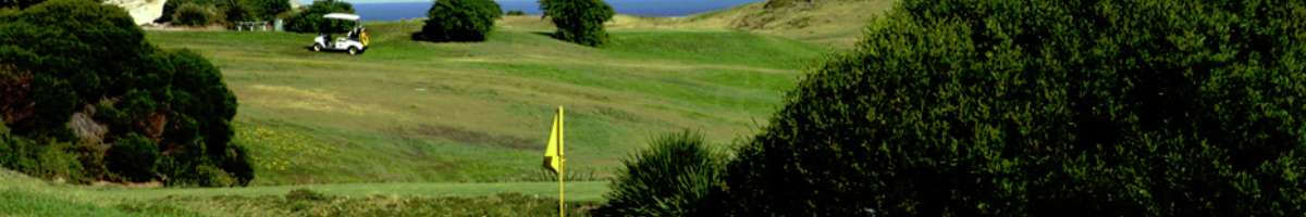 Bondi Golf & Diggers Club Banner