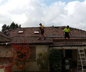 The Roof & Wall Doctor