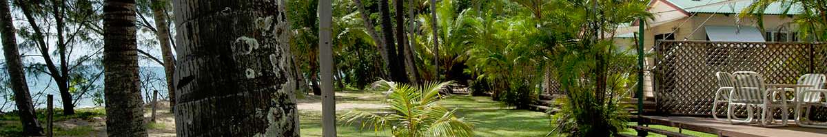 Ellis Beach Oceanfront Bungalows Banner