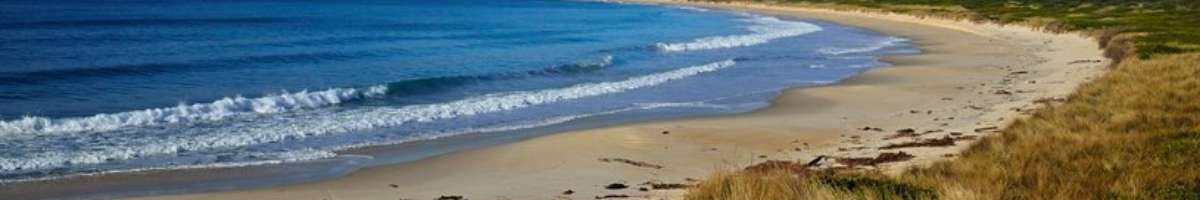 Scamander Beach Shack Banner