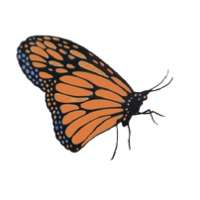Butterfly Farm Bed and Breakfast Logo