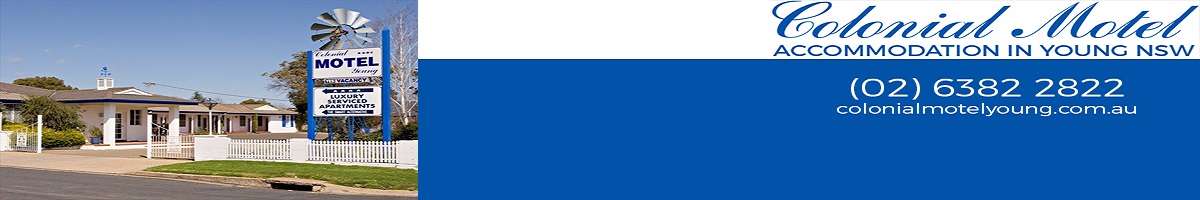 Colonial Motel Banner