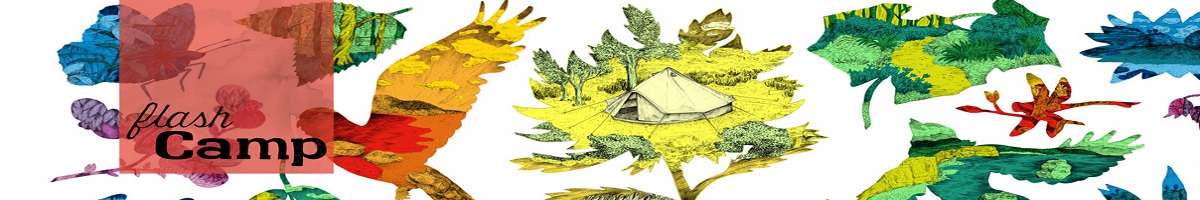 Flash Camp Banner
