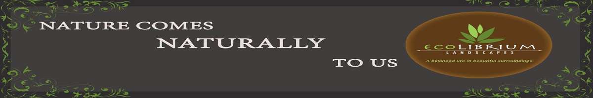 Ecolibrium Landscapes Banner