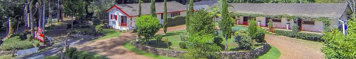 Tall Trees Motel Banner