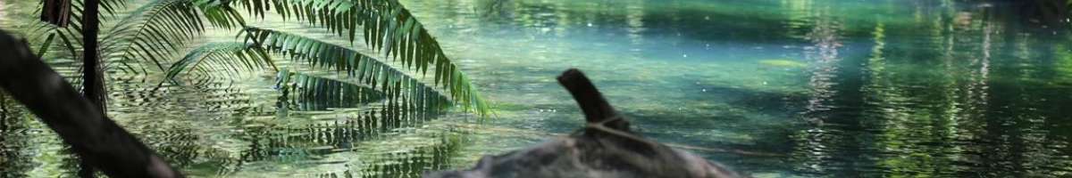 Heritage Lodge and Spa Banner