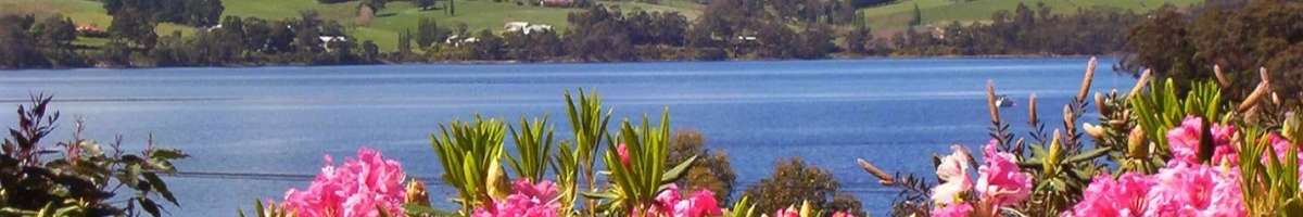 Donalea Bed & Breakfast and Riverview Apartment Banner