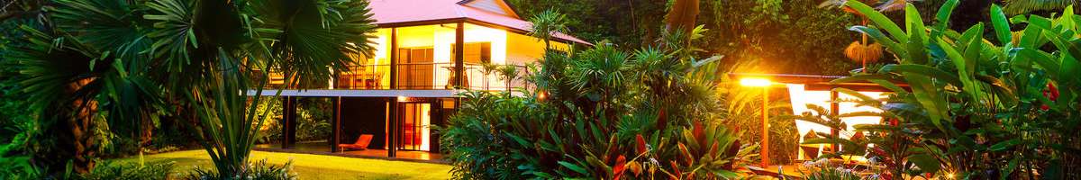 Misty Mountains Rainforest Retreat Banner