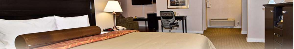 Mick's Accommodation Club Banner