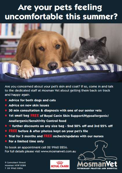 Are your pets feeling uncomfortable this summer?