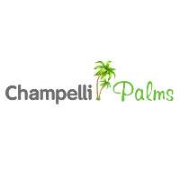 Champelli Palms Logo