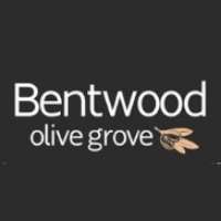 Bentwood Olive Grove Accommodation and Function Centre Logo