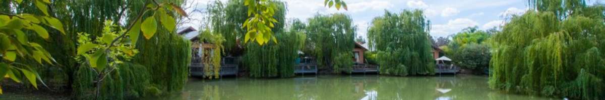 Perricoota Vines Retreat Banner