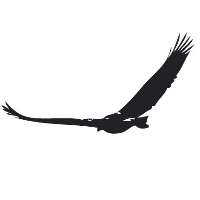 Black Rock Retreat Logo