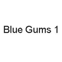 Blue Gums 1 Logo