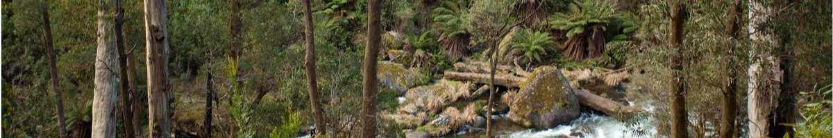 Bogong Village Banner