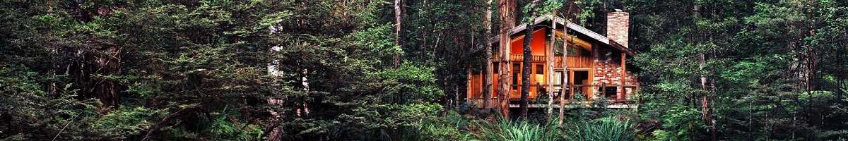 Woodlands Rainforest Retreat Banner