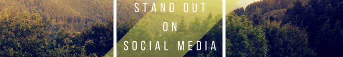 My Diamond Logic Banner