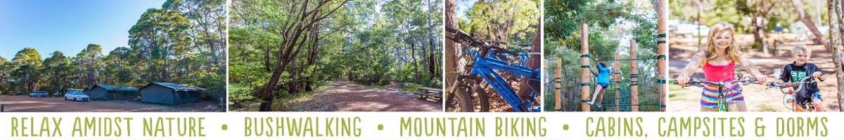 Wharncliffe Mill Bush Retreat and Eco Tours Banner