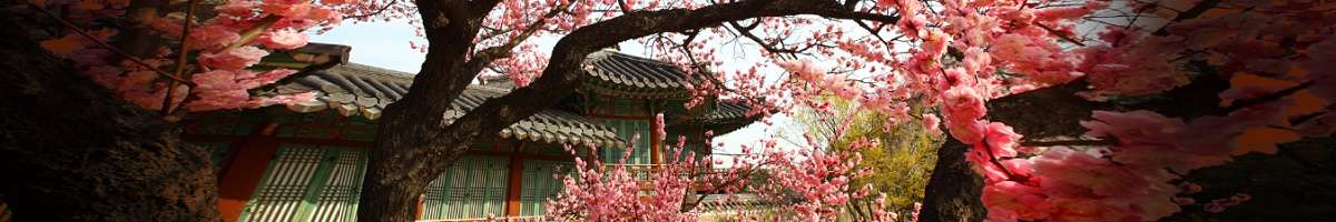 Korea Tourism Organization Banner