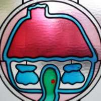 Annie's Shandon Inn Logo