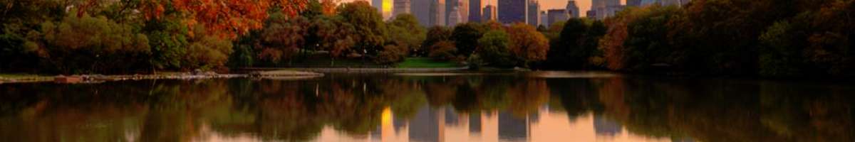 Travel Associates Banner