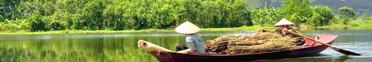 On The Go Tours Banner