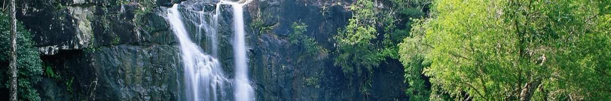 BIG4 Adventure Whitsunday Resort Banner