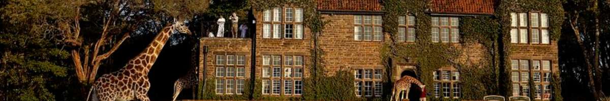 This Is Africa Banner