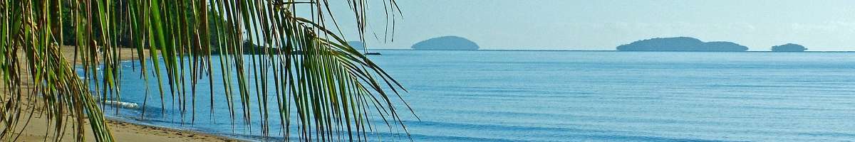 Driftwood Bed & Breakfast Banner